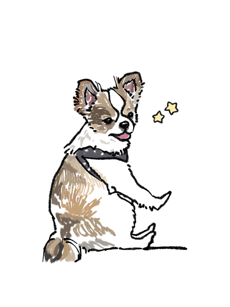 ペット、動物のイラスト描きます 可愛いうちの子描いて！という方へ イメージ4