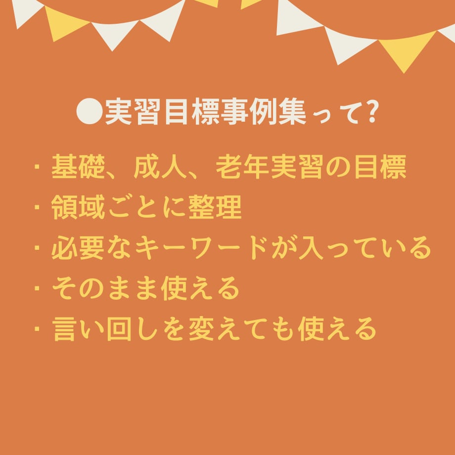 看護実習記録集★アセスメントのテンプレ教えます 超絶安心！看護実習【まるごと】パック★実習記録事例、報告、等 イメージ6