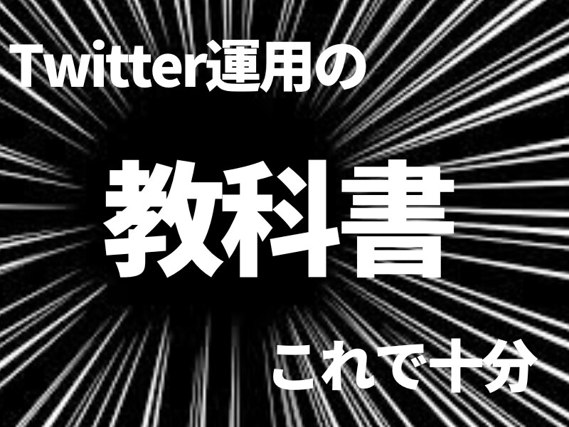 Twitterの正しい運用方法を教えます インフルエンサーのノウハウを破格の値段ではここだけですます。 イメージ1