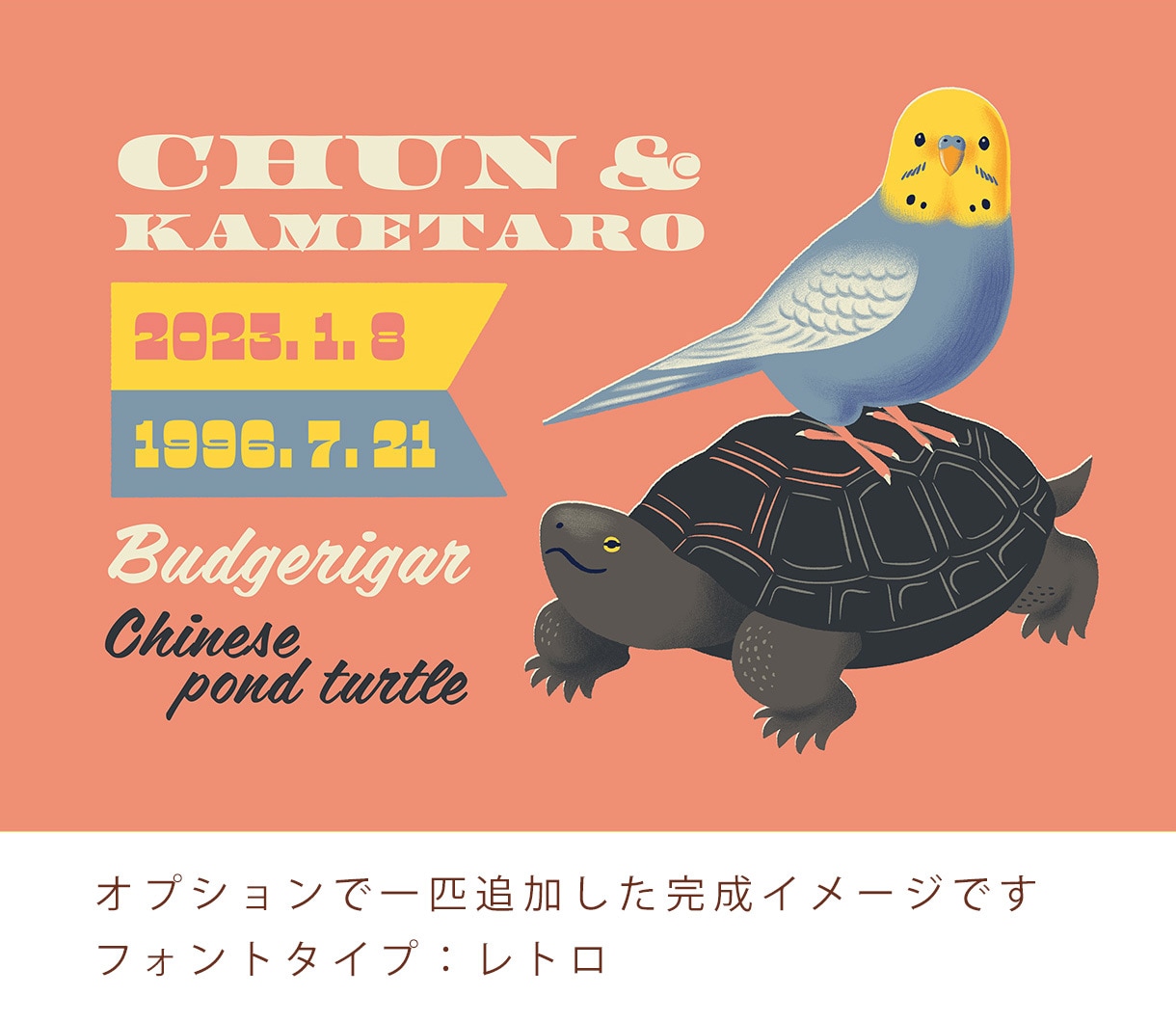 ペットとお名前でおしゃれイラスト制作します ペットのお名前や生年月日を入れて、記念やプレゼントに！ イメージ6