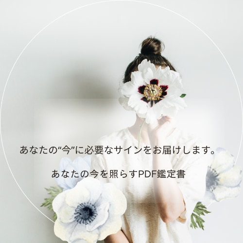 あなたの“今”に必要なサインをお届けします あなたの今を照らすPDF鑑定書 イメージ1