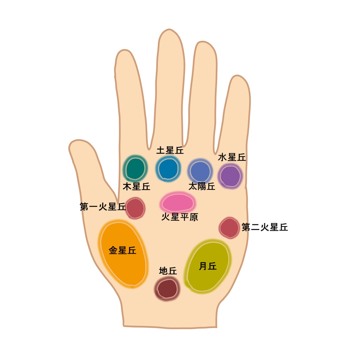 はじめての手相占いをやさしく学べます 図解と文章で基礎から丁寧に学べます イメージ4