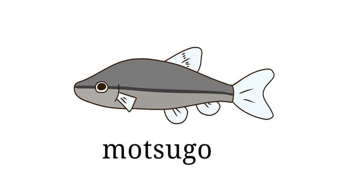 お宅の可愛い生き物たちゆるくキャラクターにします 可愛いうちのこがゆるキャラに？！ちょっとしたグッズにも！ イメージ2