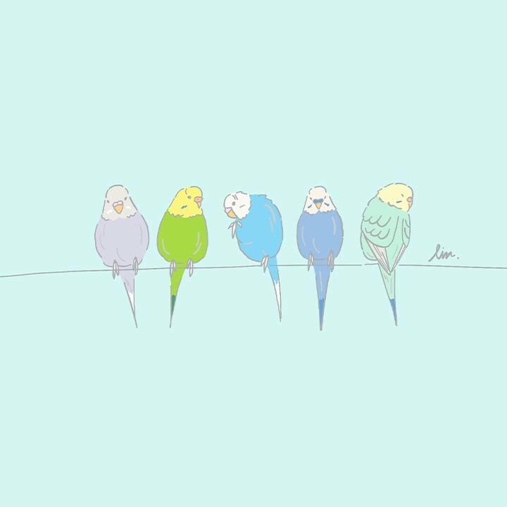 商用可☆鳥さんのおしゃれなイラストを2枚描きます SNSやブログのアイコンやプレゼントなどにどうぞ♪ イメージ5