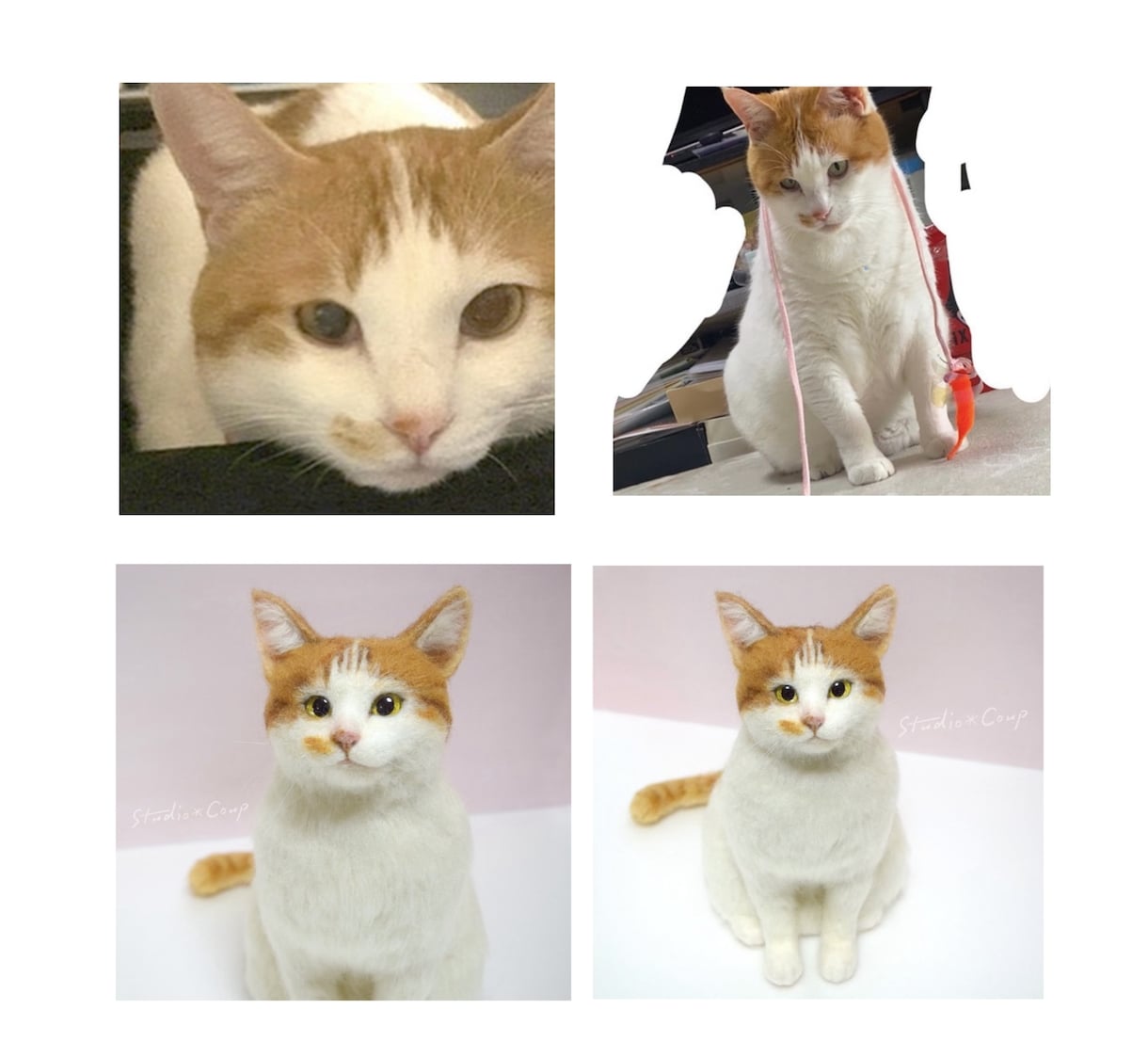 ペットのお写真から羊毛でリアルにお作りします お写真から大切なペットさんをリアルにお作りします イメージ6