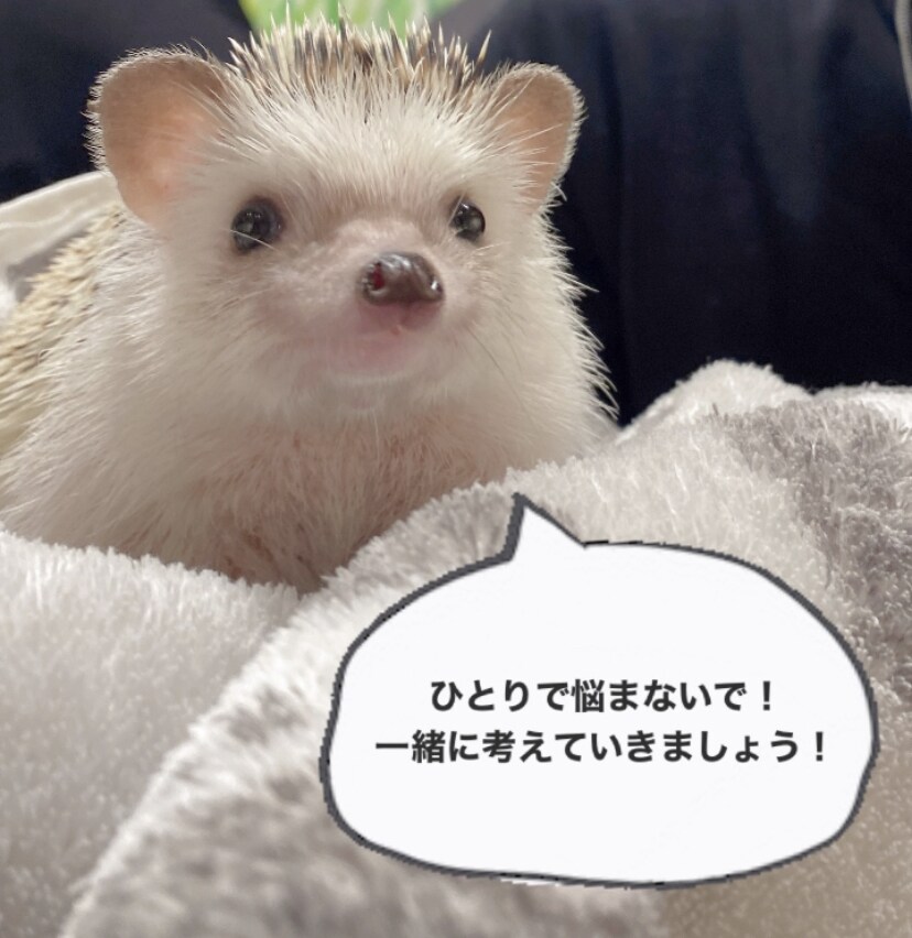 子育てのどんな相談にも乗ります 悩んでいいんです。小さな不安大きな悩み、聞かせてください。 イメージ1