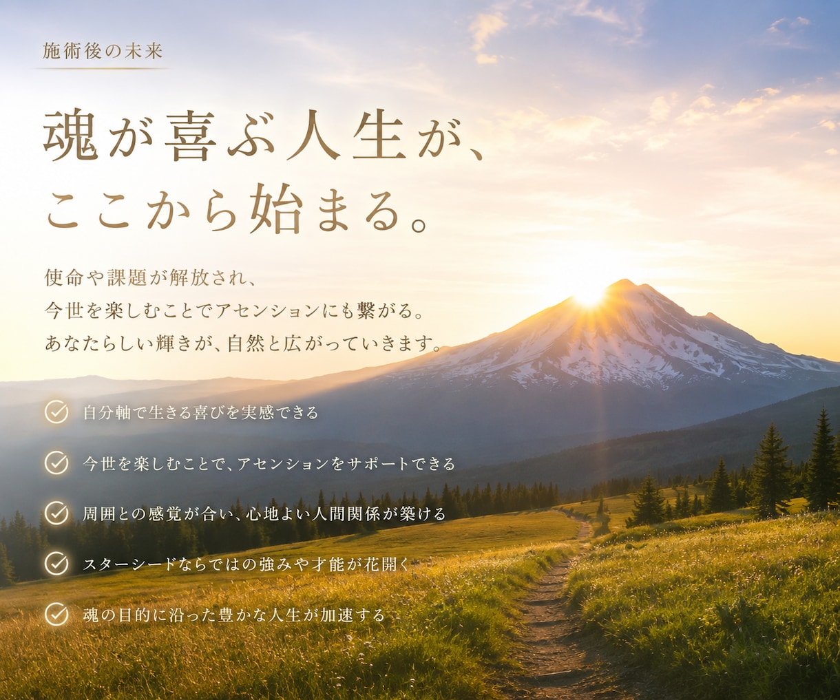 孤独や使命に疲れたスターシードの苦しみから救います 自己犠牲を卒業し、自分を幸せにする事でアセンションを助ける。 イメージ5