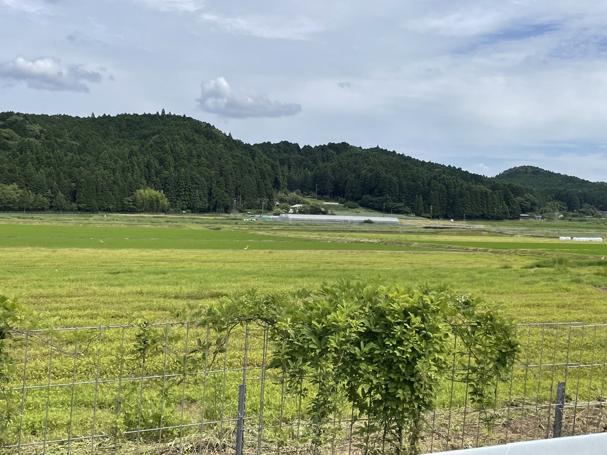 愚痴聞きます なんでもいいから愚痴ってください イメージ1