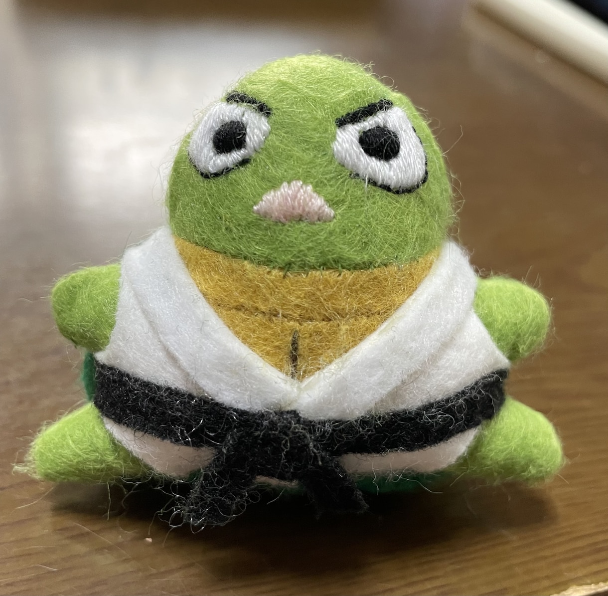 あなたのオリジナルキャラをぬいぐるみにします オリジナルキャラがいるけどぬいぐるみを作れない方に イメージ5