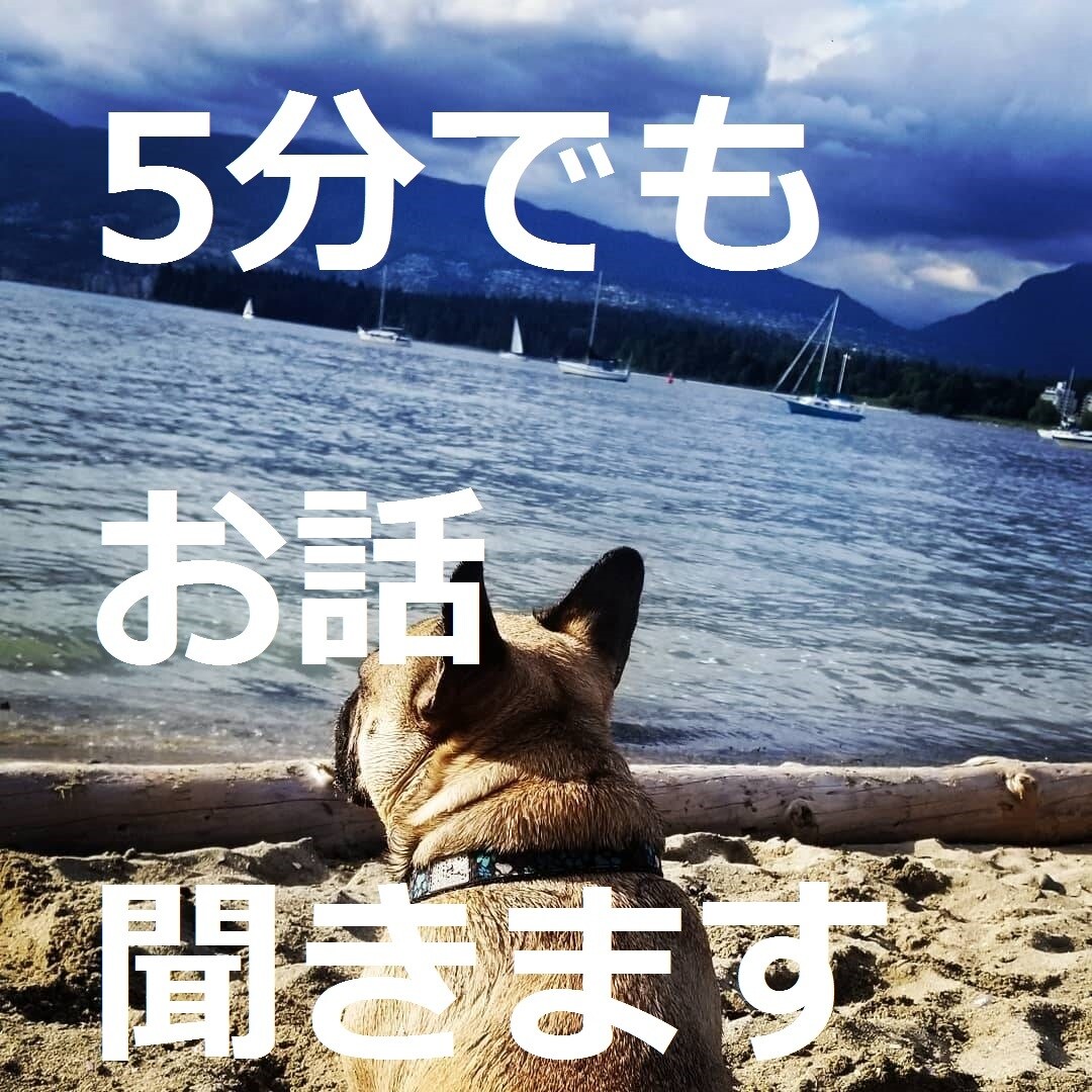 なんか喋りたい時５分でも話聞きます ●心理士とするだらだらお喋り● イメージ2