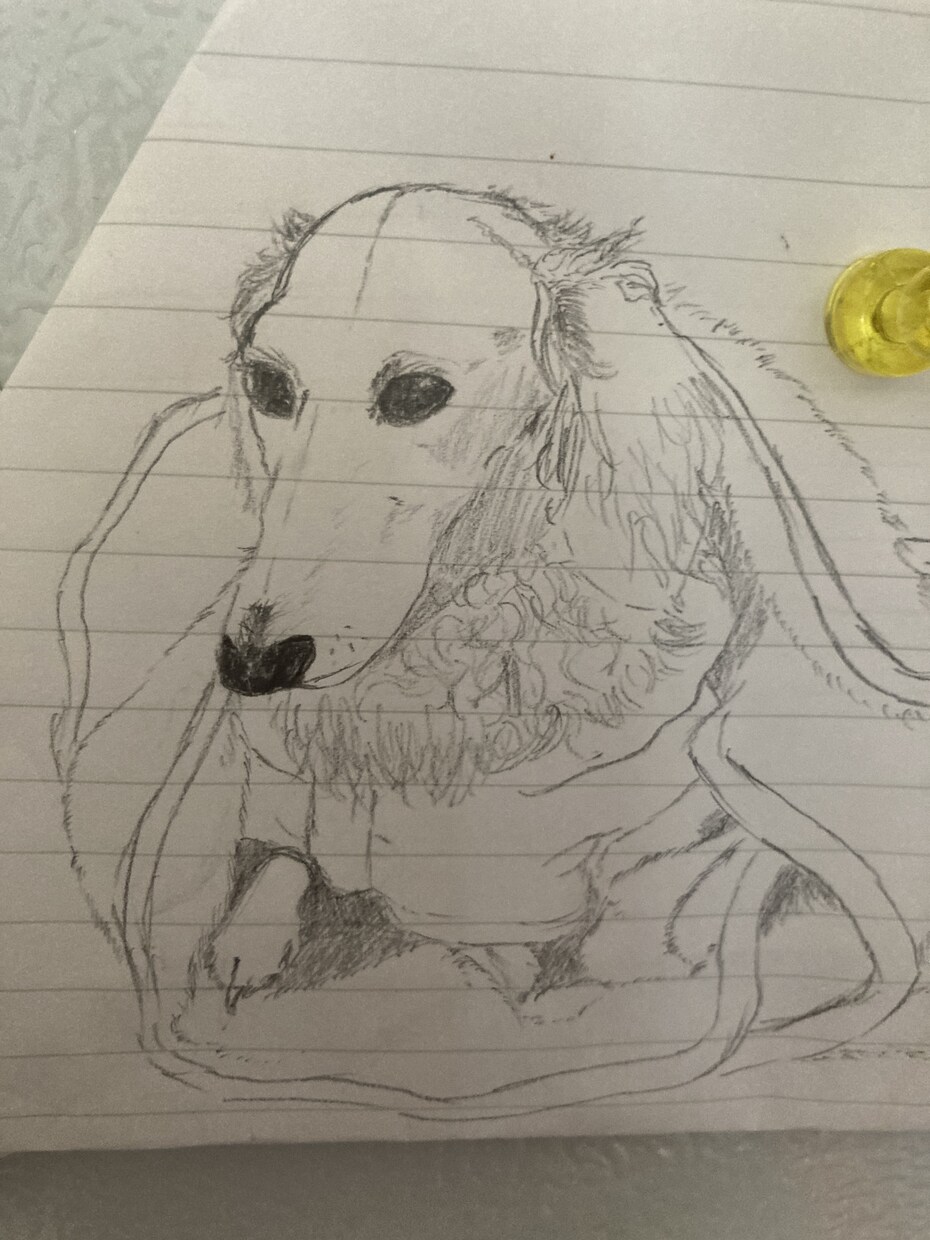 好きなお花や家族の一員ペットの似顔絵描きます 鉛筆、ボールペンのみで仕上げます✏️色はつきません。 イメージ3