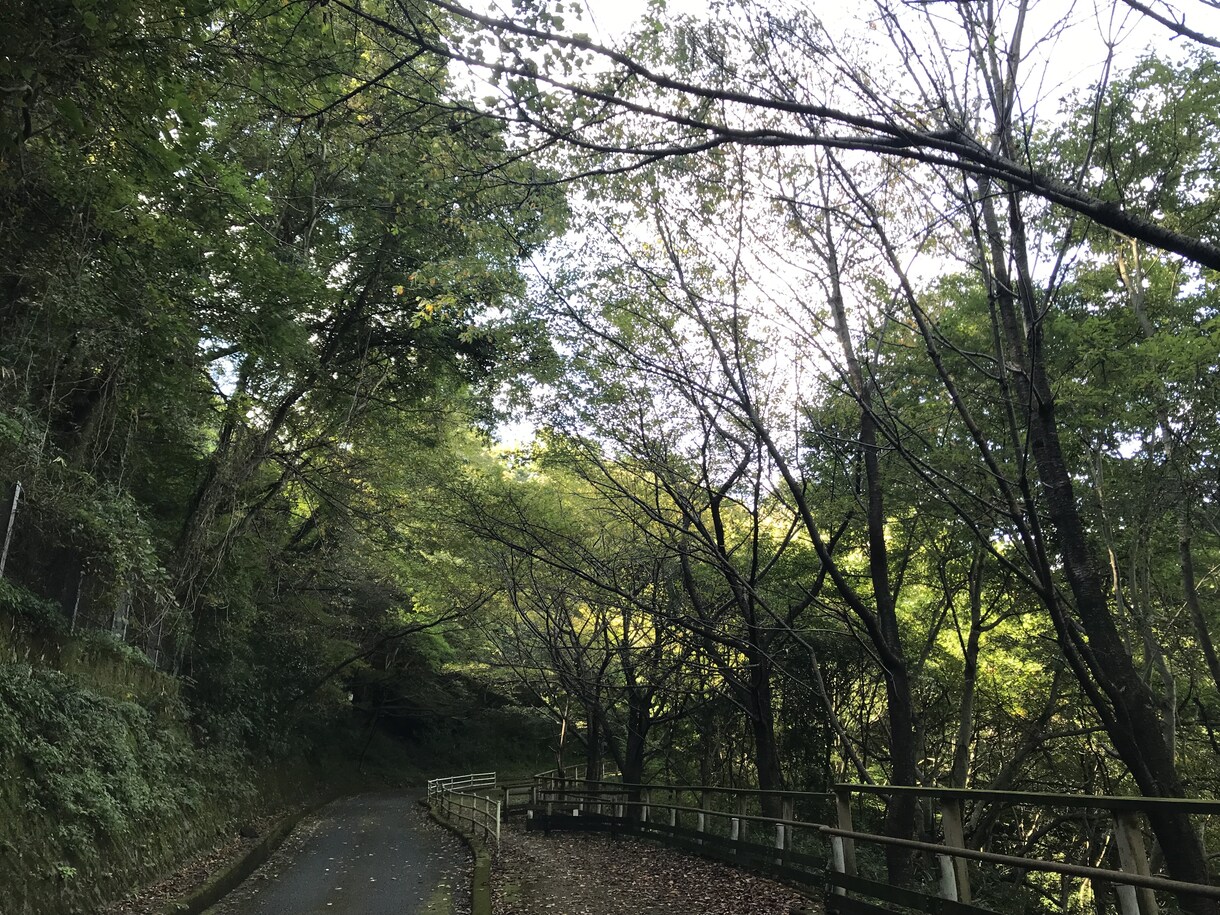 ニートや無職の方を救います ニートや無職で将来不安のある方はご気軽にぜひご相談ください！ イメージ1