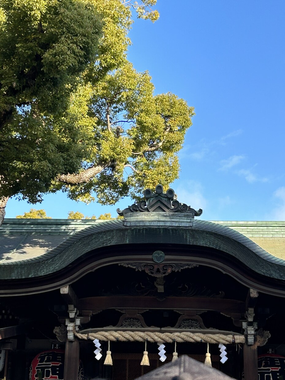 商品概要をDMでお送りします 難しいのは無理簡単に稼ぎたいそんな方 イメージ1