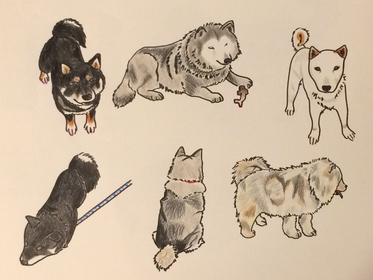 あなたの家族（ペット）を描きます 【色鉛筆で、ちょっとポップでかわいく♪】 イメージ2