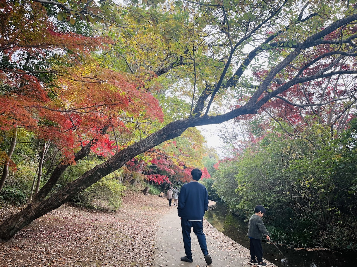 イベントや日々の写真や動画まとめます 旅行や子どもの成長記録記念日など音楽に合わせて編集します イメージ2