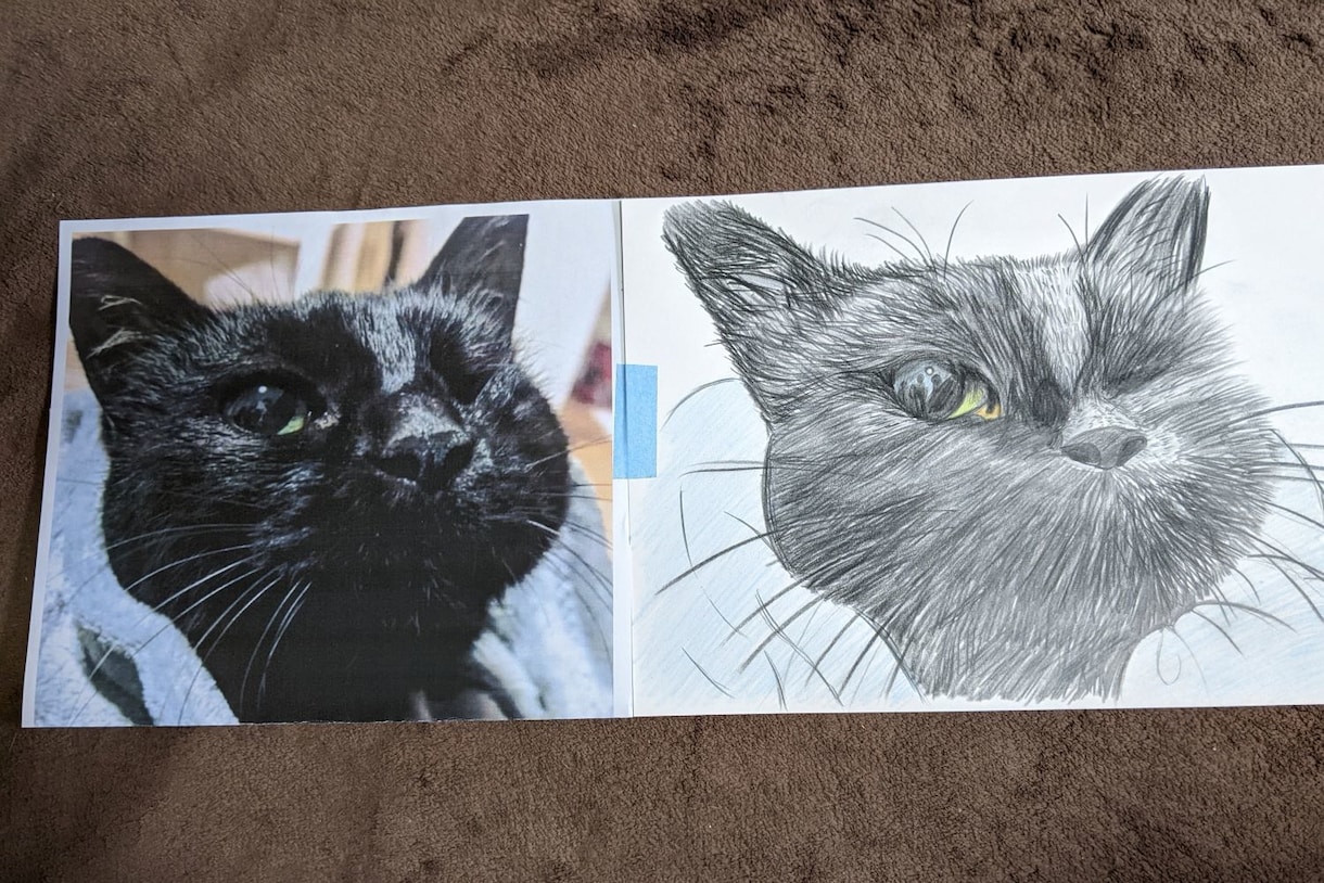 猫の似顔絵描きます 色鉛筆画で写真そっくりに描きます。 イメージ1