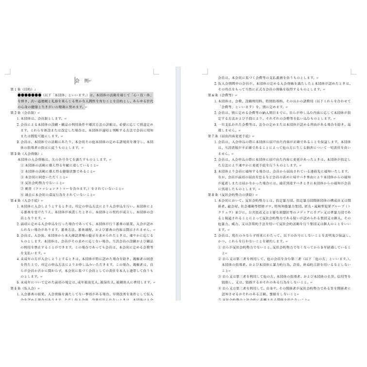 スポーツビジネスの団体運営会則を作成します スポーツ少年団、クラブチーム、社会人サークル等の運営会則 イメージ2