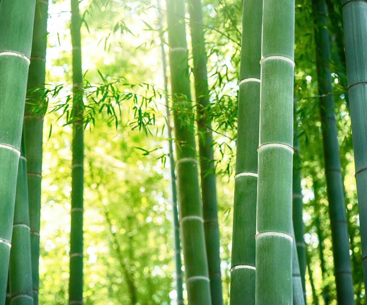 迷った時の道標、タロットが心の答えをお届けします 相手の気持ちを知りたい、不安、そんなあなたの恋に光を! イメージ9
