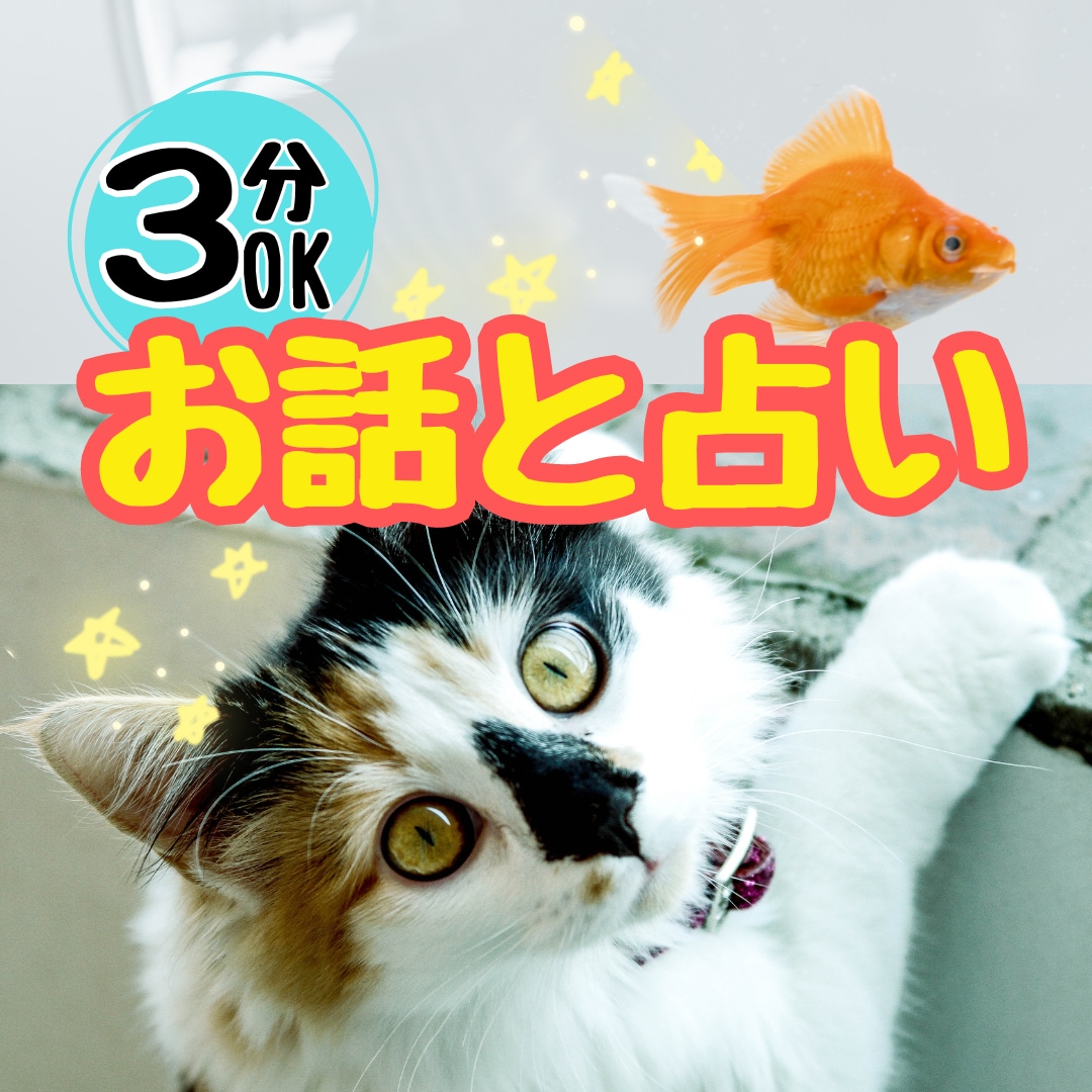 平日昼間営業！カフェ感覚でおしゃべり占い楽しめます 悩みがなくても話せる！知りたいヒント☆カードや数秘鑑定OK！ イメージ1