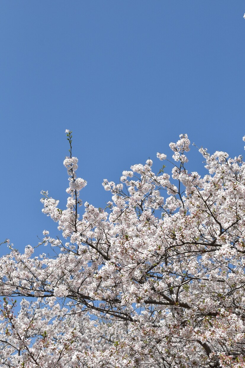 1時間チャット♡お話聞きます あなたはひとりじゃない。抱え込んでしまう前にお話ください。 イメージ2