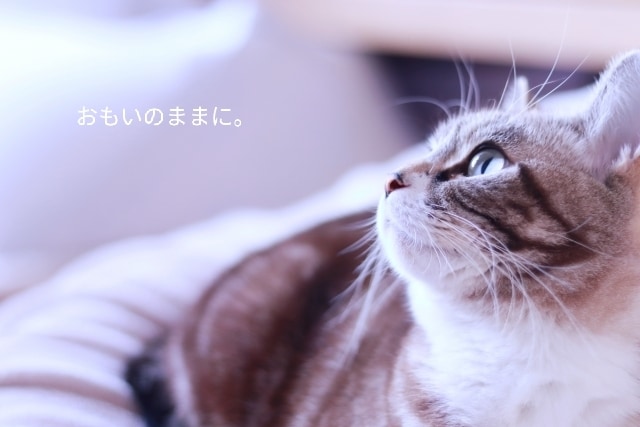 話してほっとしよ！あなたの声にならない声を聴きます 落ち着いて、一息。あなたのペースでゆっくりとお話聴きます。 イメージ3