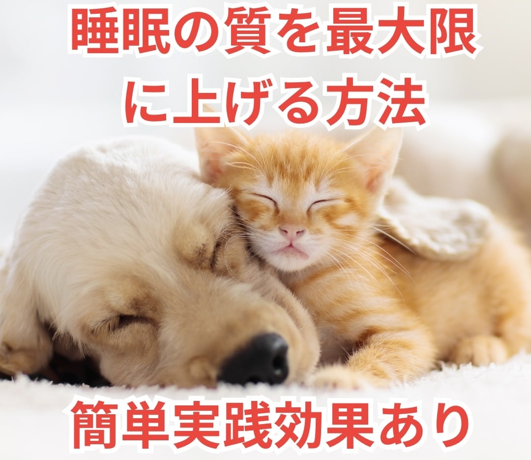 睡眠の質を最大限に上げる方法をお伝えします 睡眠の質改善鍼灸整体師睡眠コンサルタントが教えます イメージ1