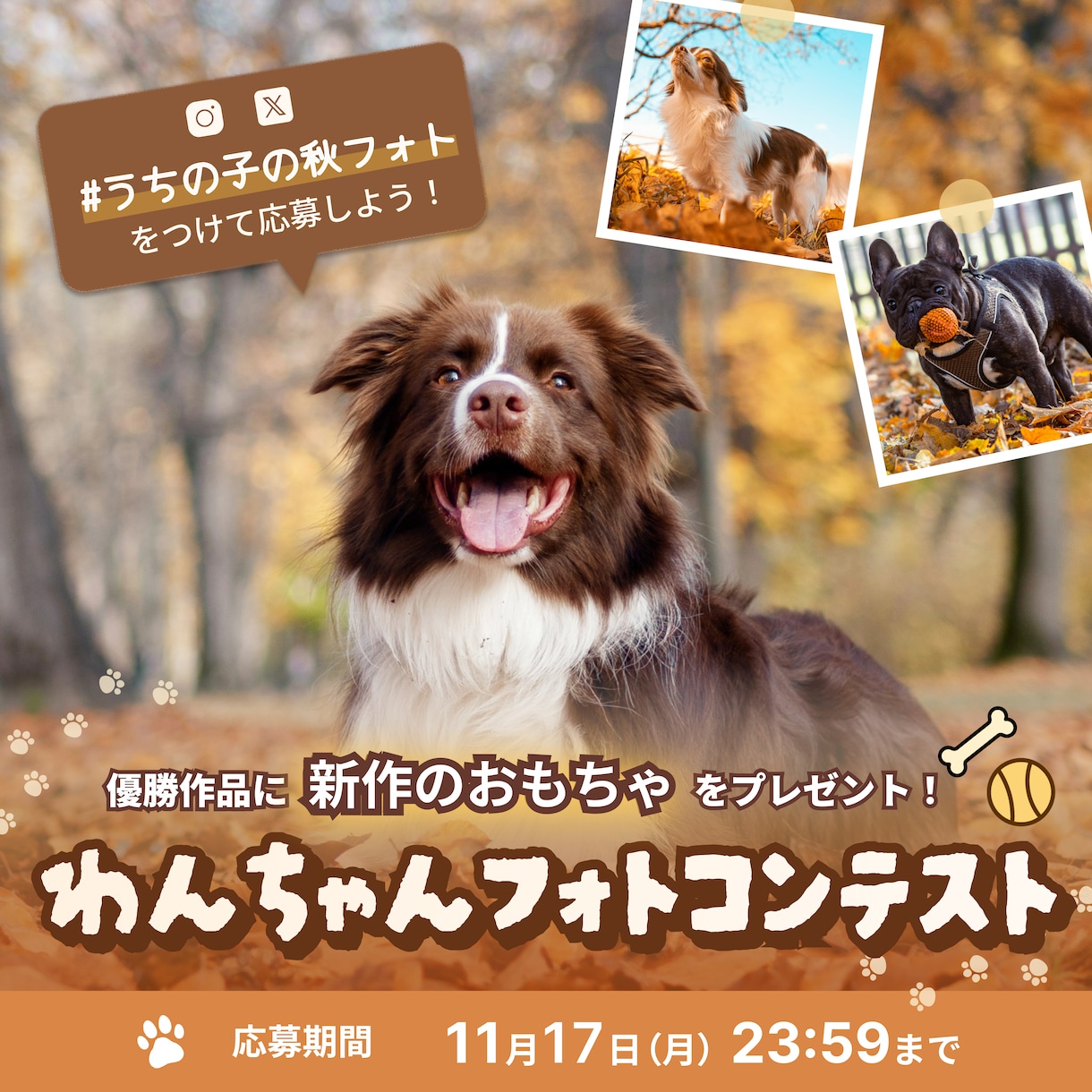 情報が整理された見やすいバナーを制作します 視線の流れを意識し、伝えたい内容を分かりやすく整理します イメージ4