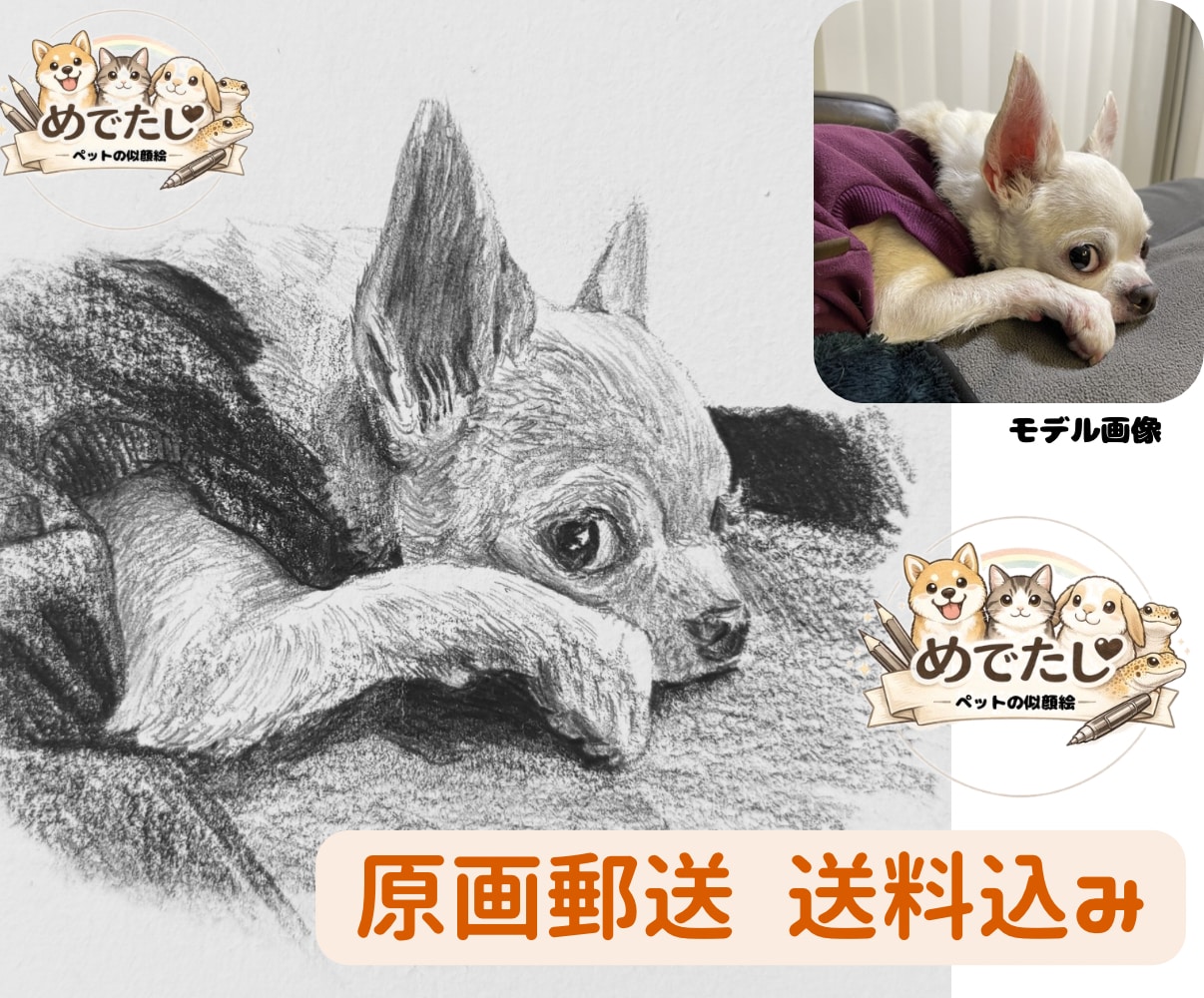 原画郵送♪  大切なペットを鉛筆でリアルに描きます 原画郵送/リアルな鉛筆スケッチ画/ポストカード〜A4まで イメージ1