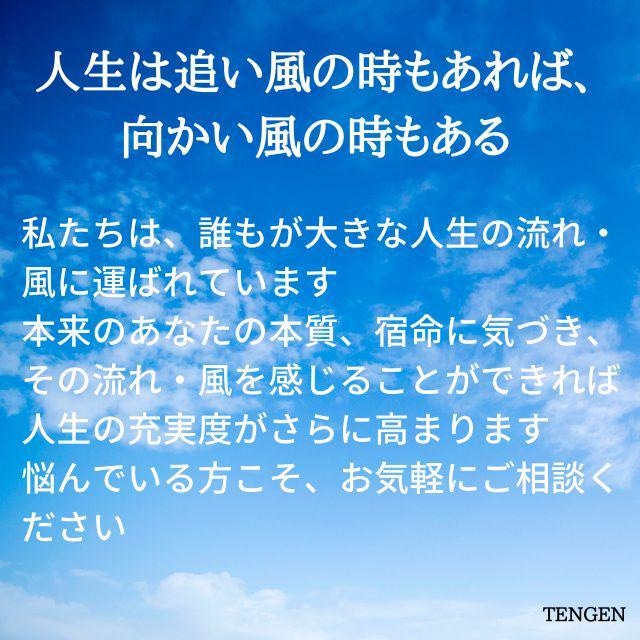 未来鑑定　八咫烏様のお力でより良い人生に導きます ✺霊視×東洋占星術✺人生の風の流れ✺金運✺仕事運✺恋愛運 イメージ3