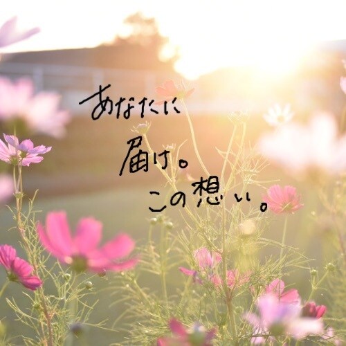 アラサー保育士、育児、その他悩み事ききます どんなことでも話を聞きます。あなたのSOSの力になりたい イメージ1