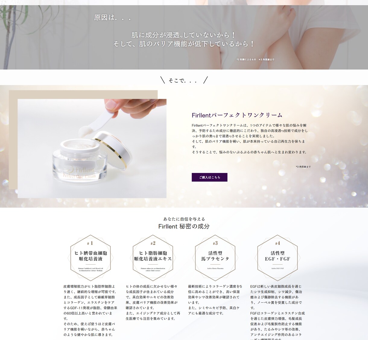 ペライチでWebマーケターが売れるLP作ります コンサル付で高品質なWebサイトを低価格で作ります イメージ2