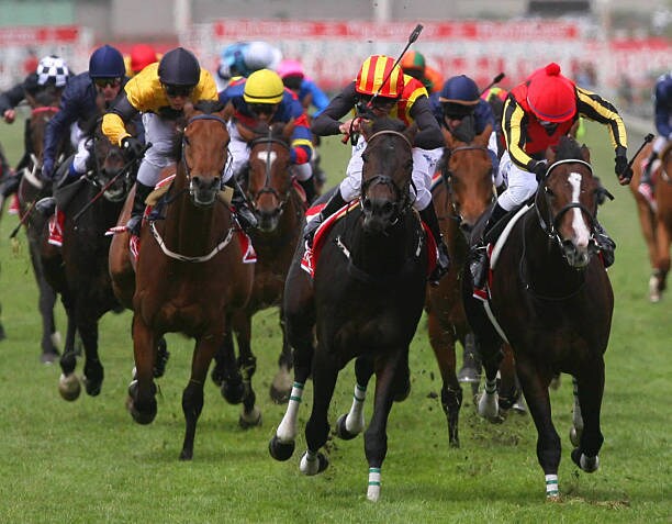 未勝利レースが激アツ！朝一の激アツ予想をします 本当に当たりやすいのは未勝利馬だった！？ イメージ1