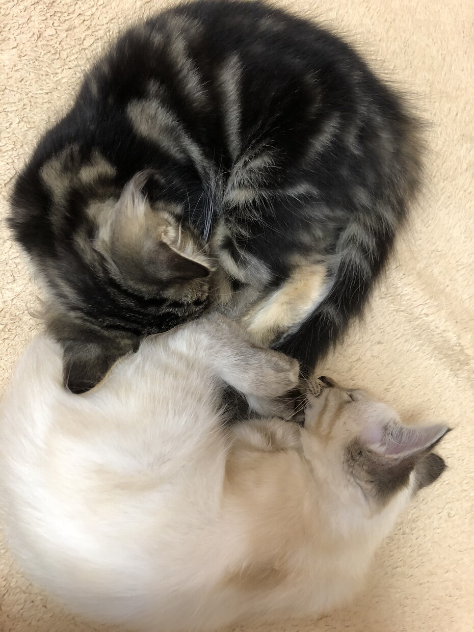 自分が撮った好きな写真を載せます 誰かの目に止まって一緒に共感して貰えたら嬉しいです イメージ10