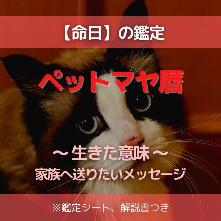 ペットの命日から家族へメッセージを火葬師が伝えます ペットの魂を送る火葬師が、ペットからのメッセージを届けます イメージ1