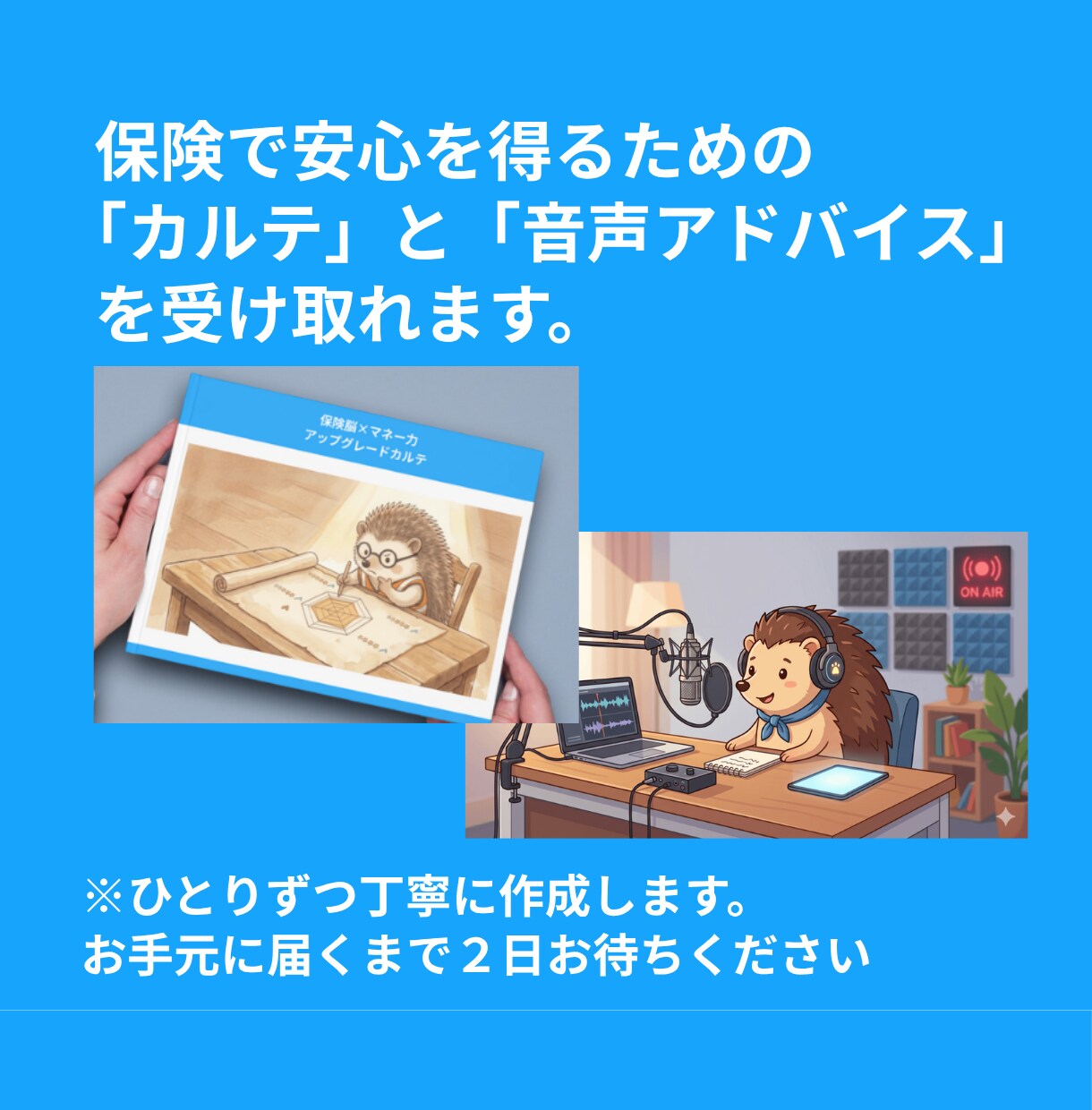 動画と音声付！あなたの保険を選ぶ力を診断します 6つの指標で図解カルテ化！あなたの保険の課題、CFP®が診断 イメージ5