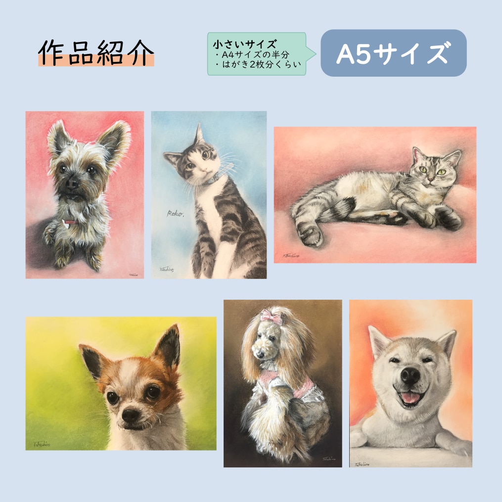 原画をご提供！リアルなペットのパステル画を描きます A5サイズ〜大小様々なサイズに対応します。 イメージ3