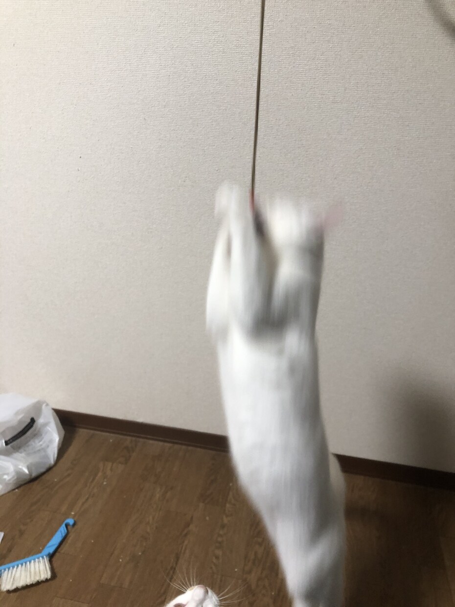 貴方の考えを面白くします あなたは面白い人間であること。 イメージ1