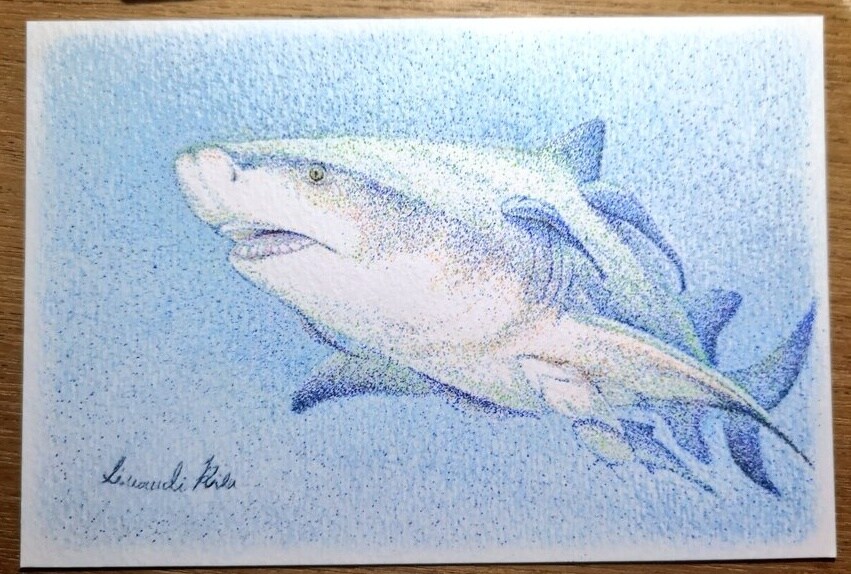 ペットの絵画制作します サイズ15㎝以下でペン画の実物を納品させていただきます。 イメージ4