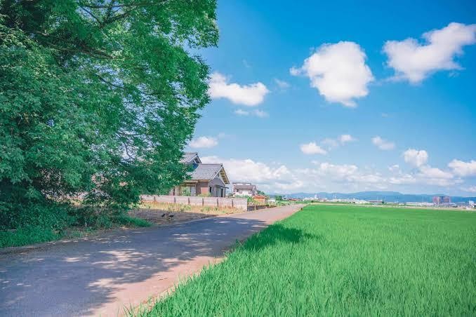 投資信託の選び方お伝え致します NISAとiDeCoの違い、投資信託の選び方お伝え致します。 イメージ4