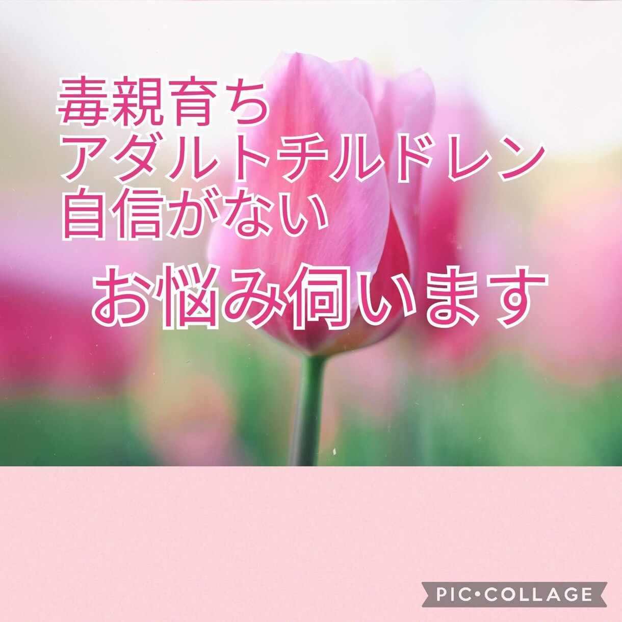 毒親育ちの方のお悩みを伺い心を癒します 自信がない。自己肯定感が低い。そんなお悩みに寄り添います イメージ1