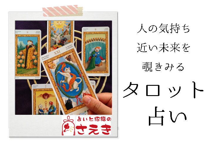 鑑定数2000件以上タロット占いのプロが鑑定します いい事もその逆でもシンプルにズバっとお答えします。 イメージ1
