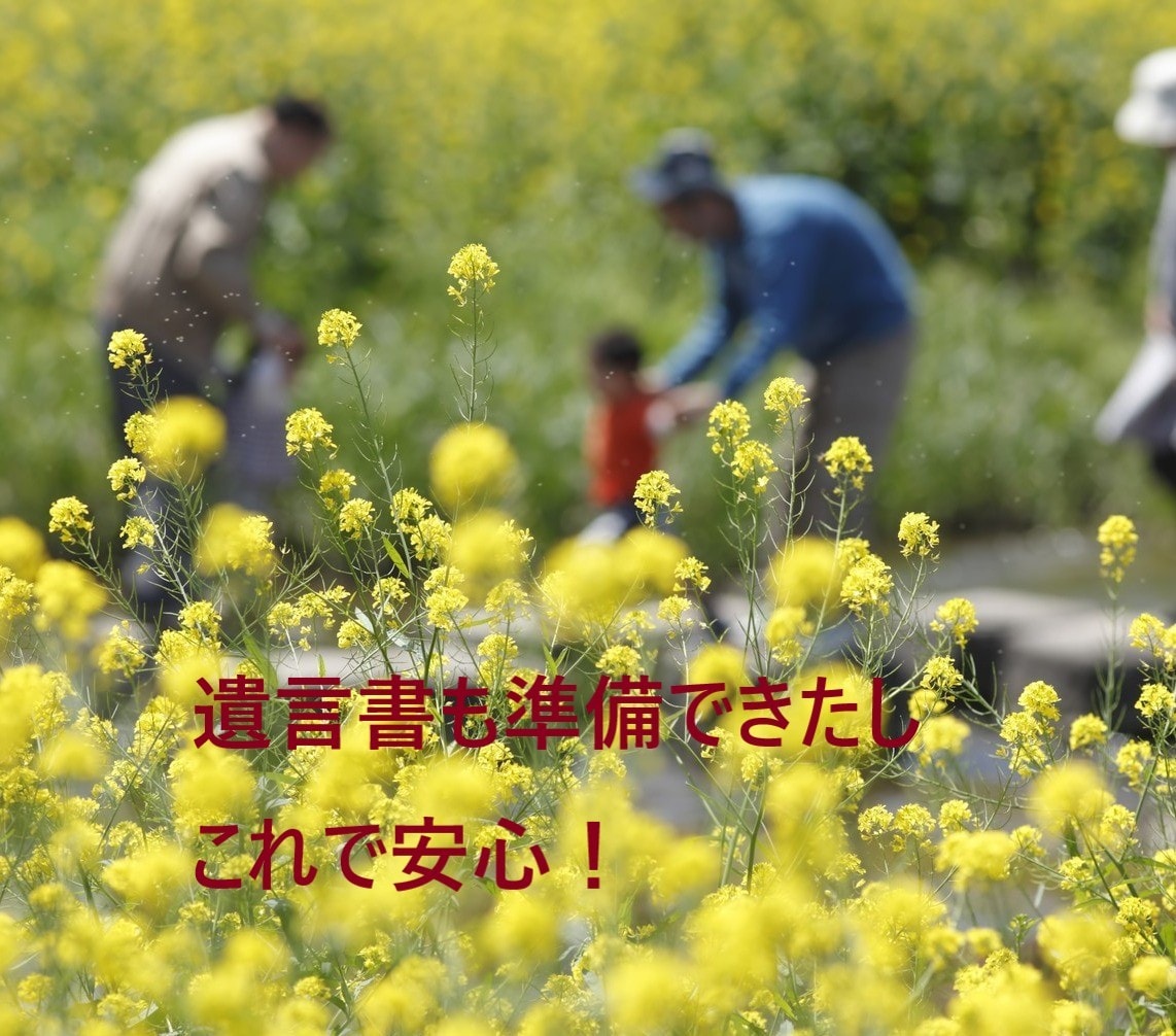 自筆証書遺言作成を行政書士がサポートします 安心確実な法務局保管制度の利用方法もご指導します！ イメージ3