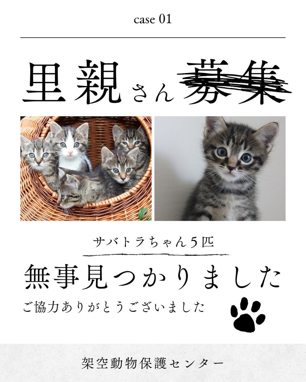 猫instagramの投稿や広告画像制作します ねこに特化！イメージに寄り添い丁寧にデザイン制作いたします！ イメージ10