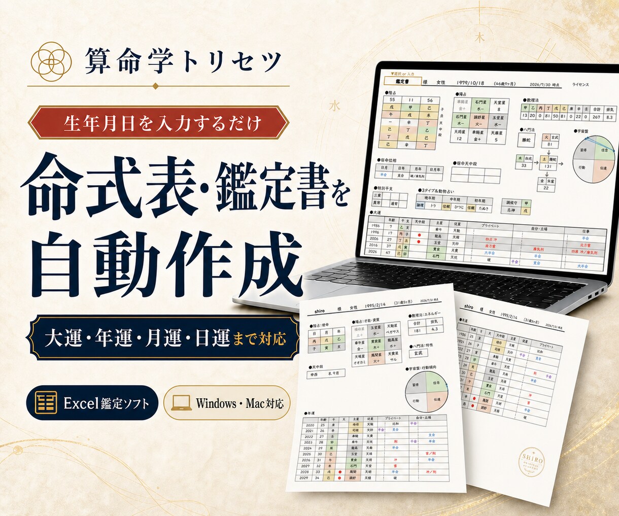 算命学トリセツ命式表・鑑定書を自動生成します 見やすいデザインと簡単操作で大運から日運まで算出！ イメージ1