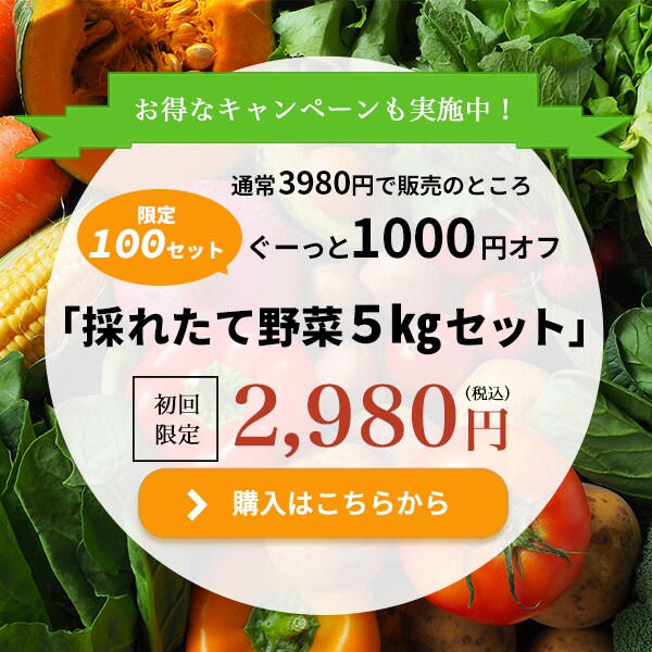 イメージ伝える！WEB画像を作成いたします ～高品質・低価格のバナー・ヘッダーをお作りいたします～ イメージ3