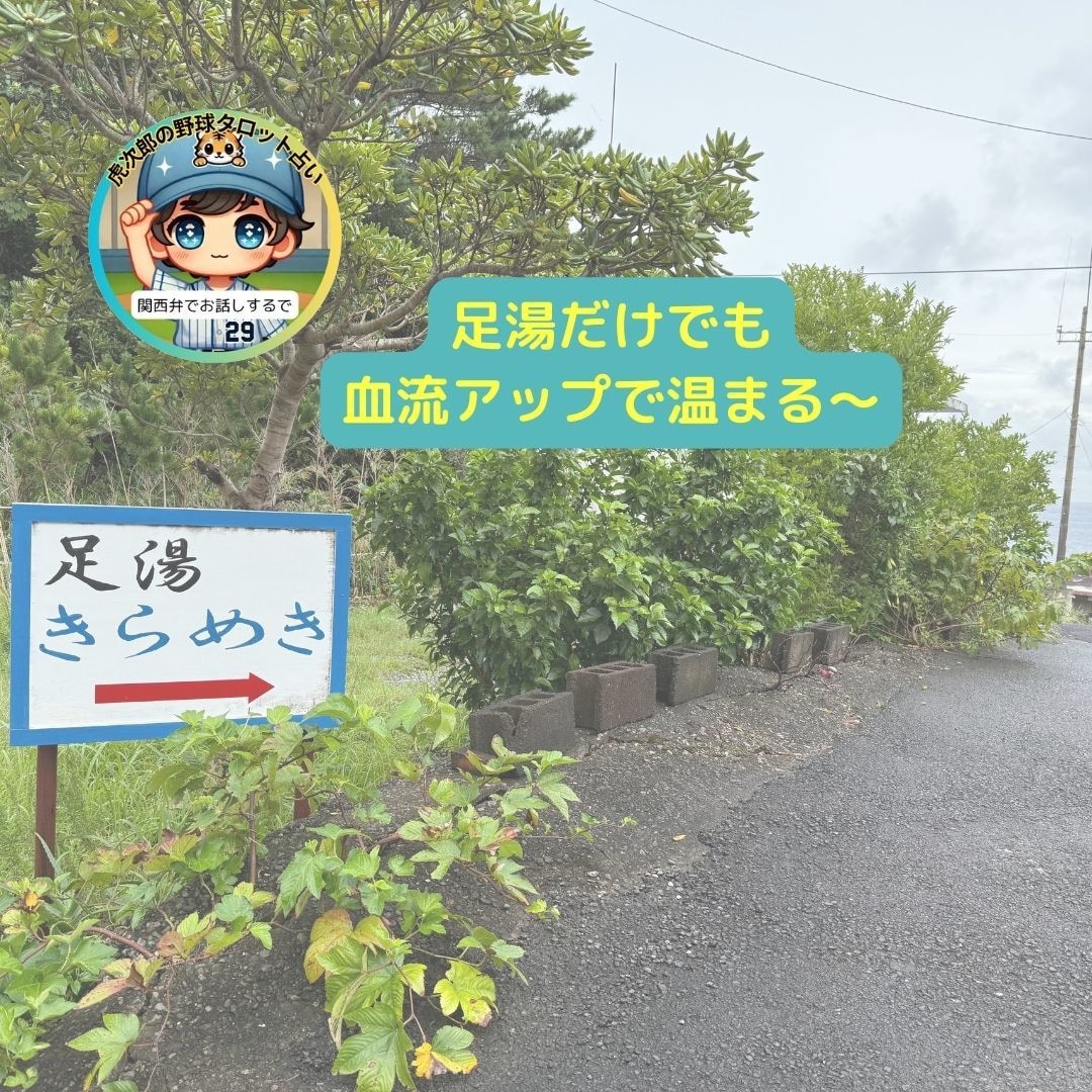 吉方位への温泉旅で整う♨️お風呂の入り方案内します ☘️ 癒やしと開運｜ヒアリング後、気質・体質に合わせてご提案 イメージ10