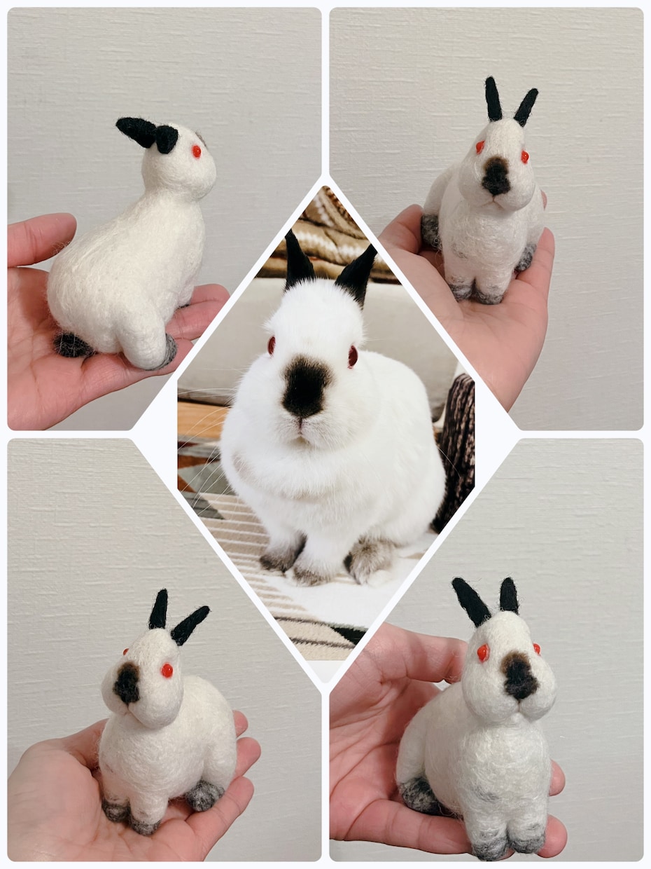 羊毛フェルトで手乗りペットちゃんをお作りします 羊毛在庫の確認の為、ご購入前にお問い合わせ下さいませ。 イメージ3