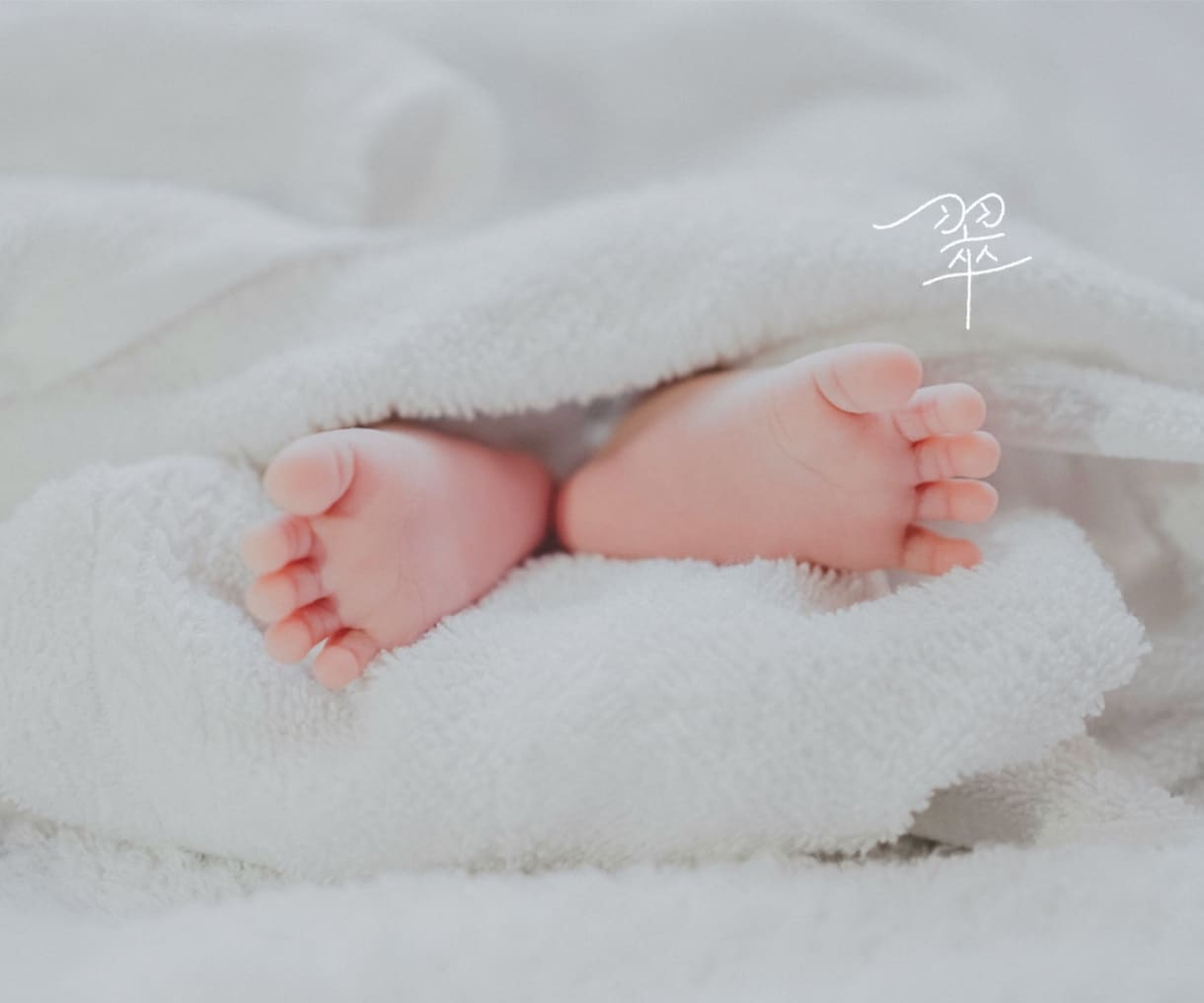 写真に“名前”を添えて、一生残る一枚にします SNS用にも◎データ形式の、いつでも見返せる命名写真。 イメージ4