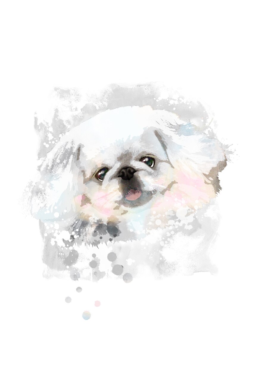 愛犬ペット似顔絵イラストをデザインします ポスター・フレームパネル納品可。プレゼント・遺影にも イメージ3