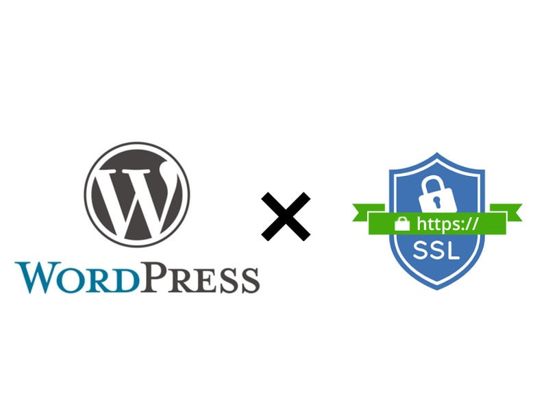 WordpressのSSL対応を支援します 先日、自前のWordpressをSSL化しました。 イメージ1